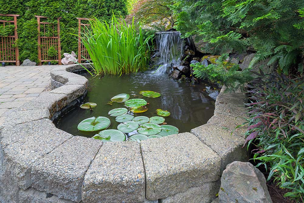 AdobeStock_113007673 Garden Backyard Pond with Waterfall
