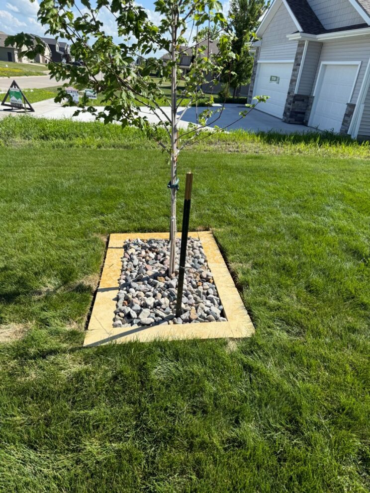 Cook Landscapes - Landscape Specialist