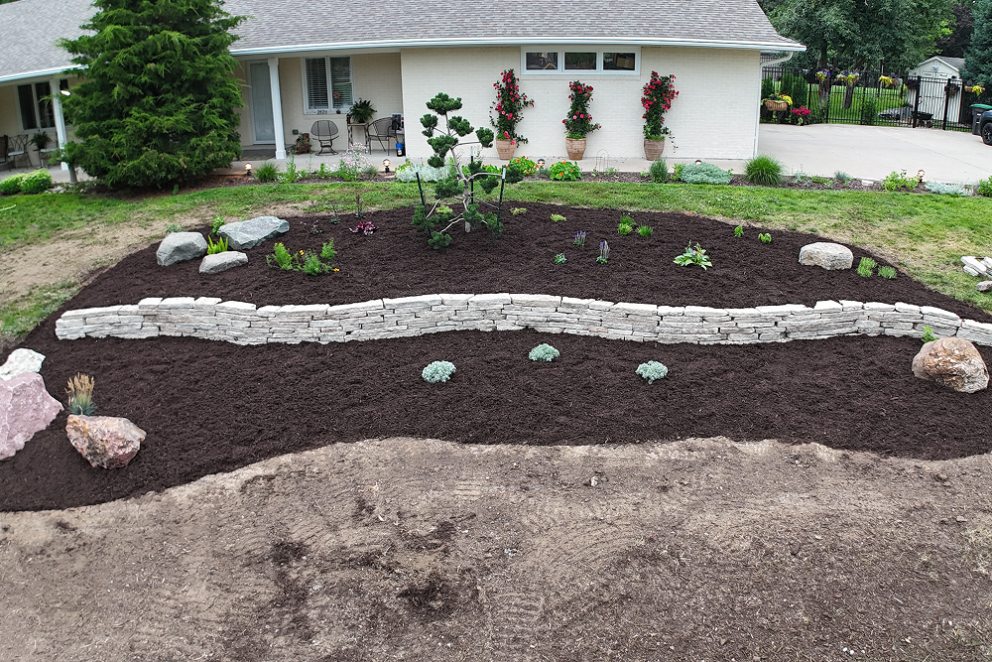 Cook Landscape Gallery Image