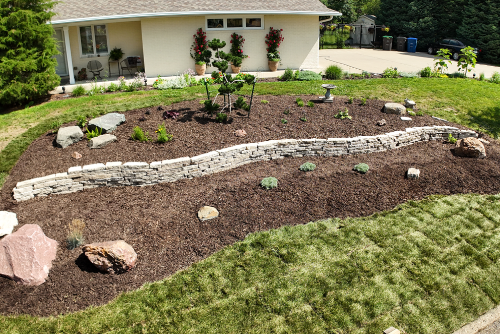 Cook Landscape Gallery Image