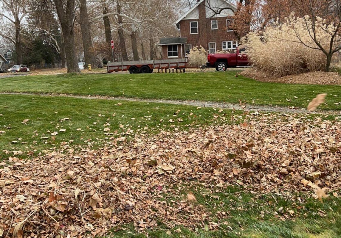 Cook Landscape Gallery Image - Property Maintenance